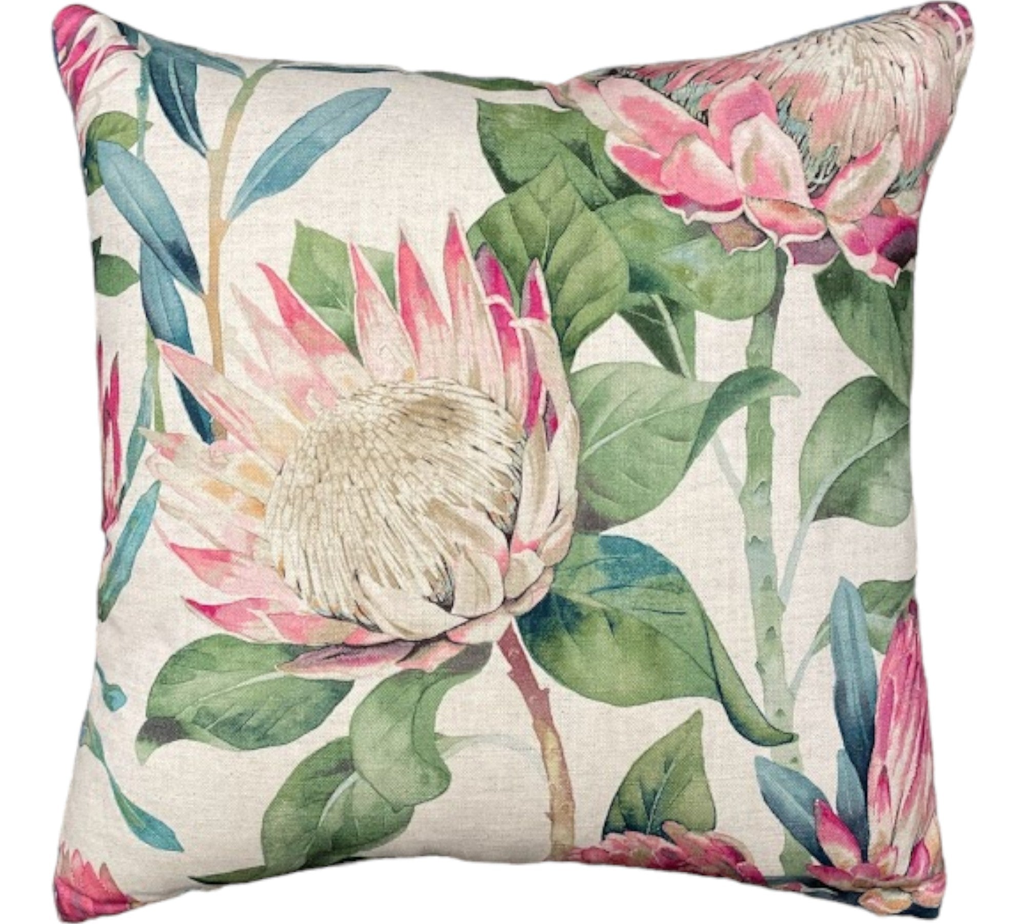 Protea scatter cushions sales