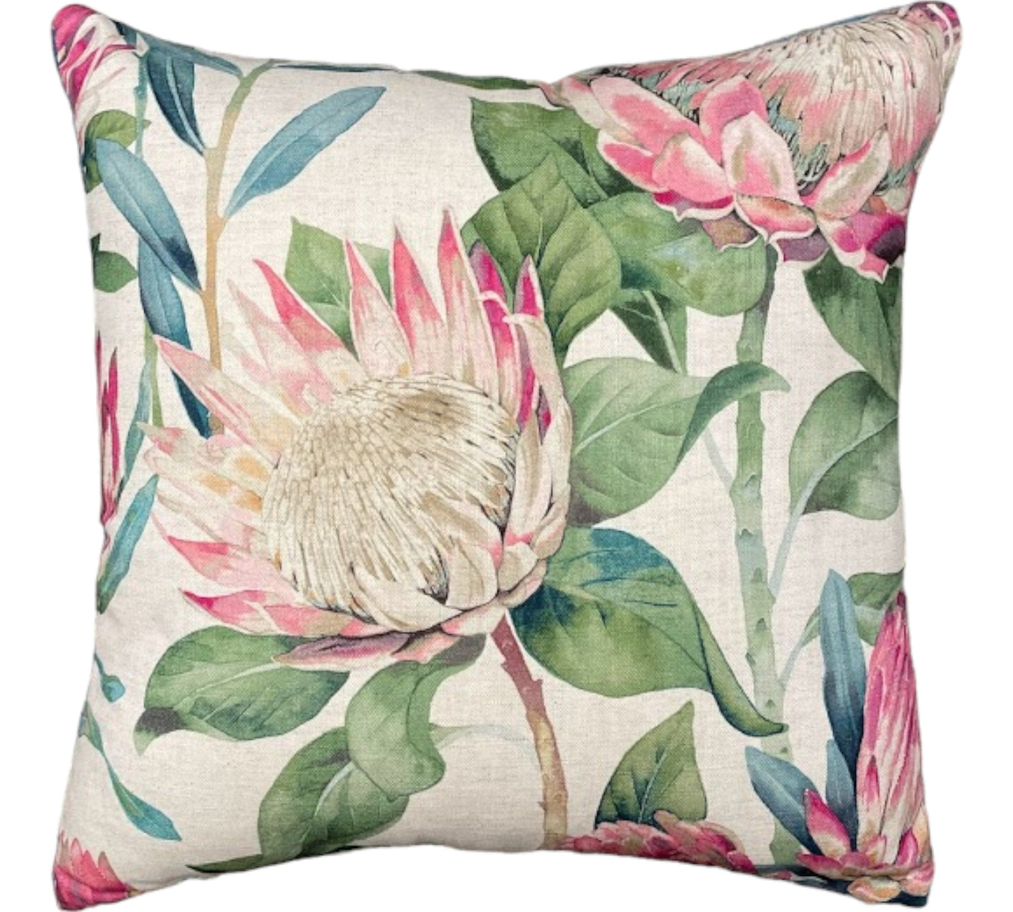 King Protea Rhodera Scatter Cushion