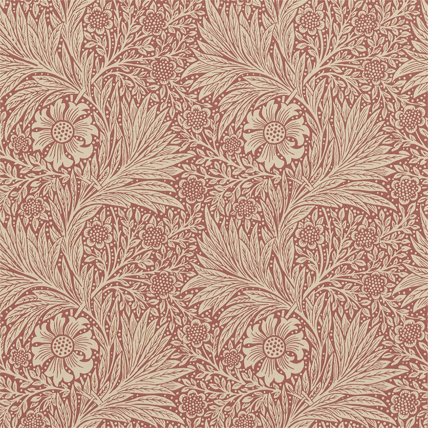 Marigold Wallpaper